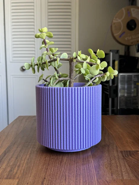 Chậu cây Mid Century Modern kèm khay hứng nước - Rãnh tuyến tính - Image 2
