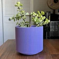 Chậu cây Mid Century Modern kèm khay hứng nước - Rãnh tuyến tính - Thumbnail 2