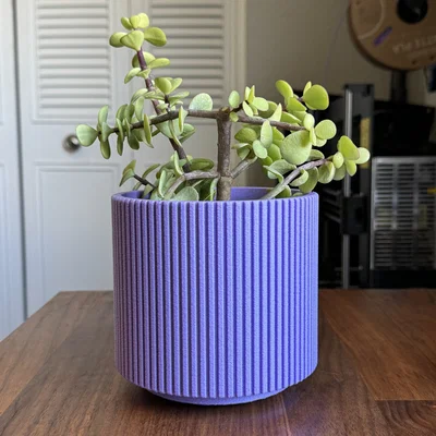 Chậu cây Mid Century Modern kèm khay hứng nước - Rãnh tuyến tính