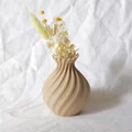 Bình hoa xoắn ốc 3D (Twisted Pot) trang trí nhà cửa độc đáo - Thumbnail 5