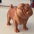Mô hình chú chó Pug gật đầu (Pug Bobblehead) trang trí bàn làm việc - Thumbnail 2