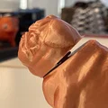 Mô hình chú chó Pug gật đầu (Pug Bobblehead) trang trí bàn làm việc - Thumbnail 3