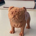Mô hình chú chó Pug gật đầu (Pug Bobblehead) trang trí bàn làm việc - Thumbnail 5