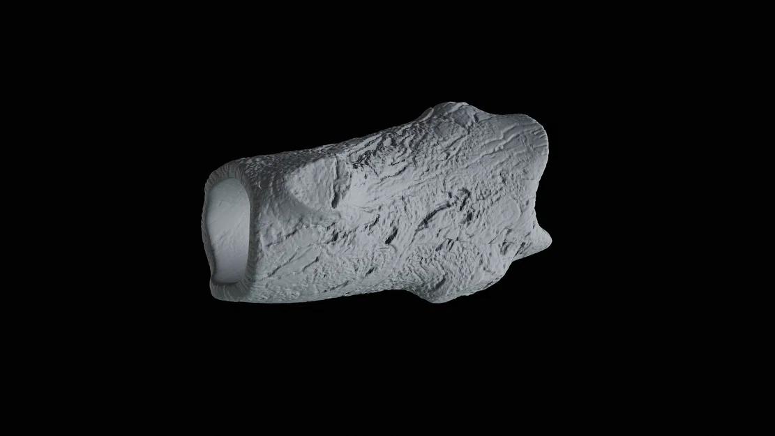 Mô hình thân cây trang trí hồ cá 3D độc đáo - Image 4