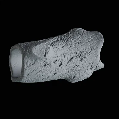 Mô hình thân cây trang trí hồ cá 3D độc đáo