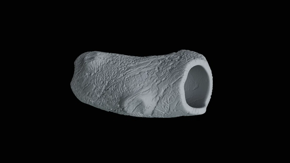 Mô hình thân cây trang trí hồ cá 3D độc đáo - Image 5