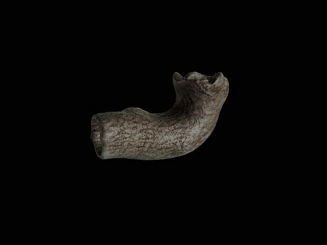Mô hình trang trí thân cây cho bể cá và hồ cạn (3D Print) - Image 1