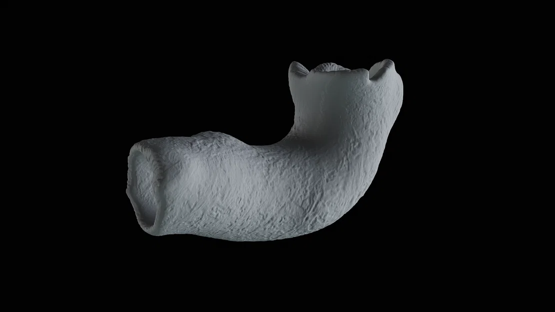 Mô hình trang trí thân cây cho bể cá và hồ cạn (3D Print) - Image 2