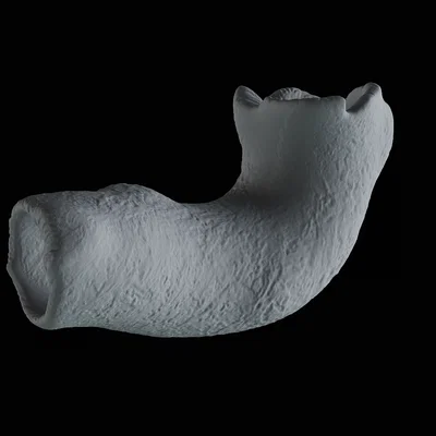 Mô hình trang trí thân cây cho bể cá và hồ cạn (3D Print)