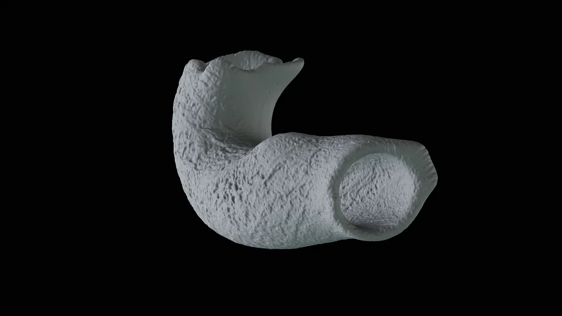Mô hình trang trí thân cây cho bể cá và hồ cạn (3D Print) - Image 3
