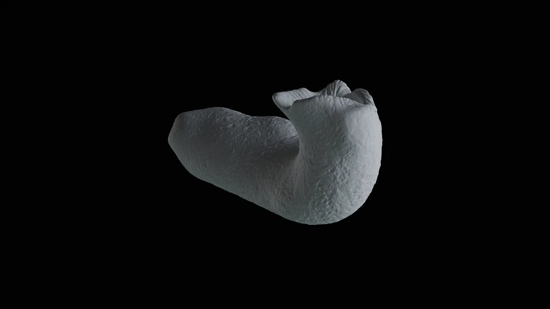 Mô hình trang trí thân cây cho bể cá và hồ cạn (3D Print) - Image 4