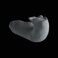 Mô hình trang trí thân cây cho bể cá và hồ cạn (3D Print) - Thumbnail 4