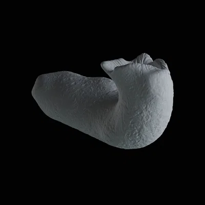 Mô hình trang trí thân cây cho bể cá và hồ cạn (3D Print)