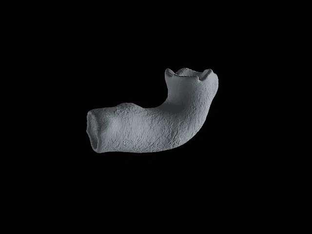 Mô hình trang trí thân cây cho bể cá và hồ cạn (3D Print) - Image 5
