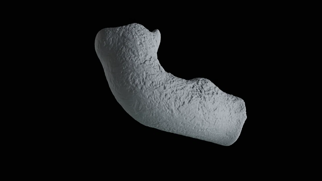 Mô hình trang trí thân cây cho bể cá và hồ cạn (3D Print) - Image 6
