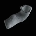 Mô hình trang trí thân cây cho bể cá và hồ cạn (3D Print) - Thumbnail 7