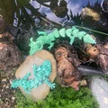 Rồng PIP Kristalldrache & Würfeldrache (flexi, in-place) - Thumbnail 22