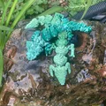 Rồng PIP Kristalldrache & Würfeldrache (flexi, in-place) - Thumbnail 23