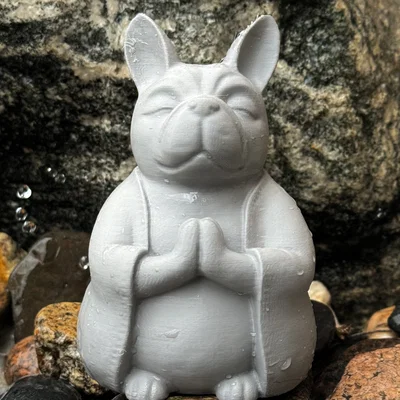 French Bulldog Cầu Nguyện/Thiền Định