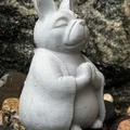 French Bulldog Cầu Nguyện/Thiền Định - Thumbnail 2