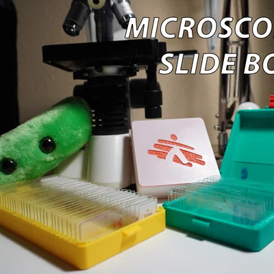 Gọn Gàng Hóa Lam Kính: Hộp Lưu Trữ Microscope Slide