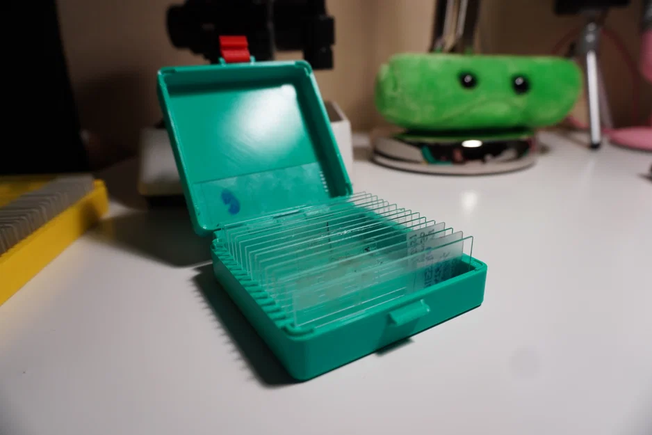 Gọn Gàng Hóa Lam Kính: Hộp Lưu Trữ Microscope Slide - Image 5