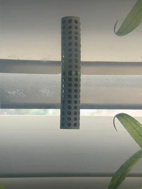 Kẹp giữ Lucky Bamboo cho bể cá (Aquarium) – ĐỌC MÔ TẢ - Image 4