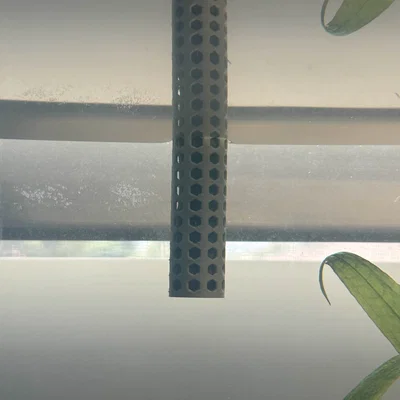 Kẹp giữ Lucky Bamboo cho bể cá (Aquarium) – ĐỌC MÔ TẢ
