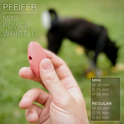 PFEIFER | Mini Power Whistle