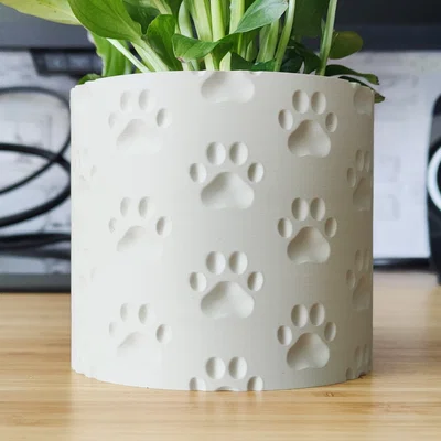 Chậu trồng cây hoạ tiết bàn chân thú - thiết kế vase mode
