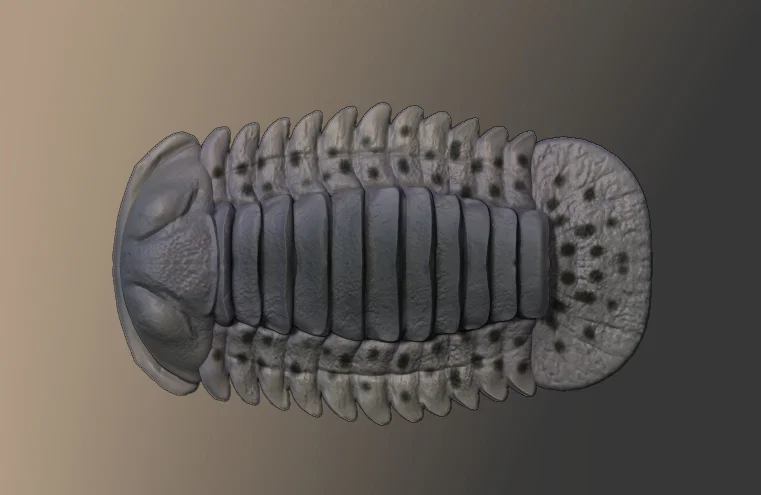 Tượng Trilobite (Trilobite Figurine) - Image 1