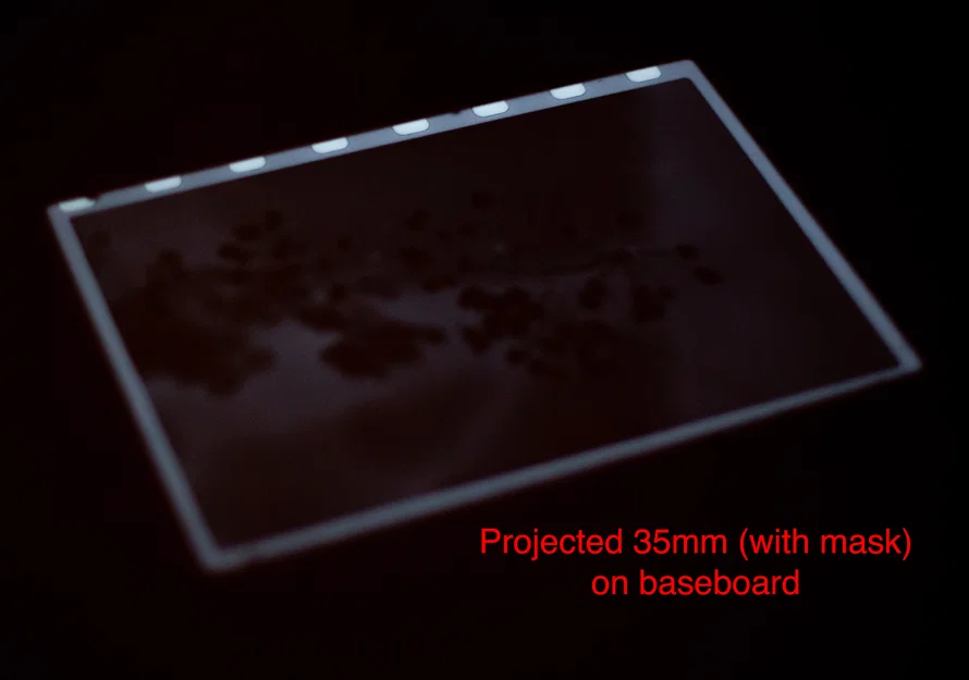 Negative Carrier Kính 4x5 Universal cho Beseler - Image 6