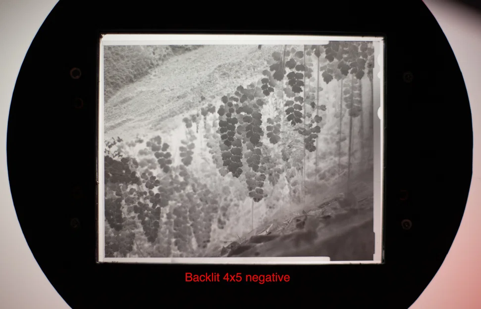 Negative Carrier Kính 4x5 Universal cho Beseler - Image 7