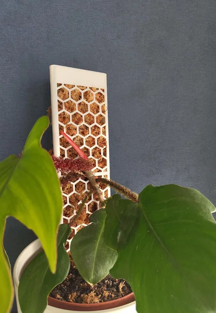 Moss pole mô-đun xếp chồng (modular moss pole) cho cây leo - Image 1