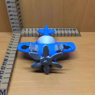 Máy bay đồ chơi (Toy Plane)