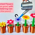 Hoa Trong Chậu Kèm Bình Tưới Nước - Thumbnail 1