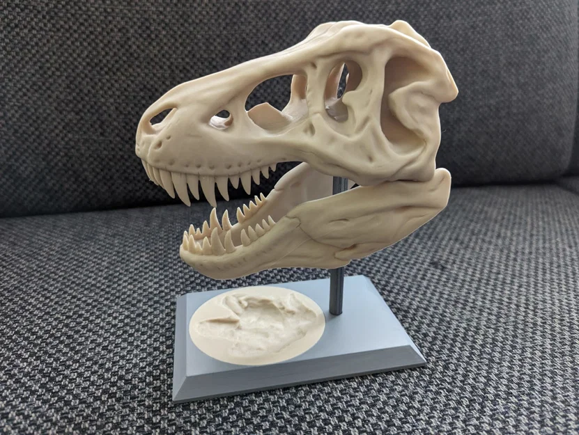 Đế T-Rex kèm dấu chân (Remix tách thành 2 phần) - Image 1