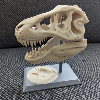 Đế T-Rex kèm dấu chân (Remix tách thành 2 phần)