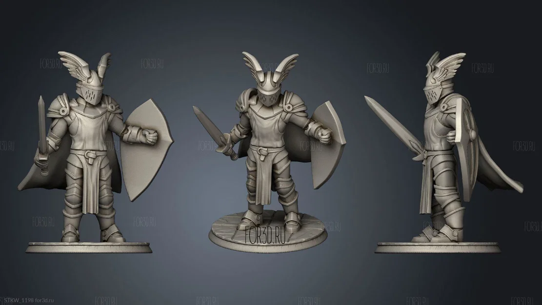 Mô hình Paladin 3D - Nhân vật chiến binh đẳng cấp cho Tabletop - Image 1