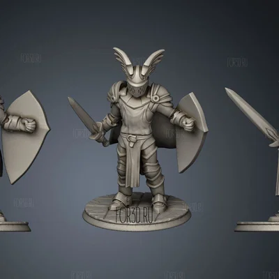Mô hình Paladin 3D - Nhân vật chiến binh đẳng cấp cho Tabletop