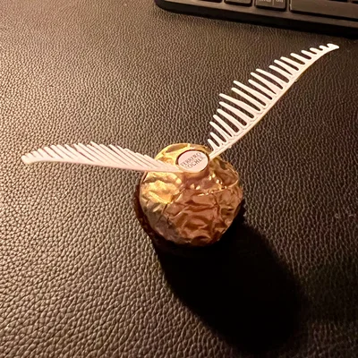 Cánh Golden Snitch