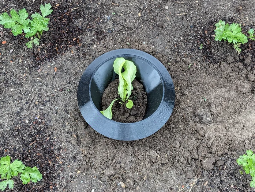 Vòng rào chắn bảo vệ xà lách khỏi ốc sên/sên trần (Lettuce Snail Slug Protection Ring) - Image 2
