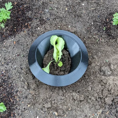 Vòng rào chắn bảo vệ xà lách khỏi ốc sên/sên trần (Lettuce Snail Slug Protection Ring)