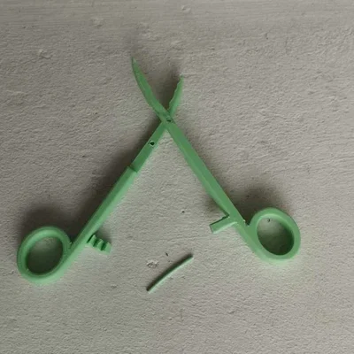 Kẹp Kocher (Kocher clamp)