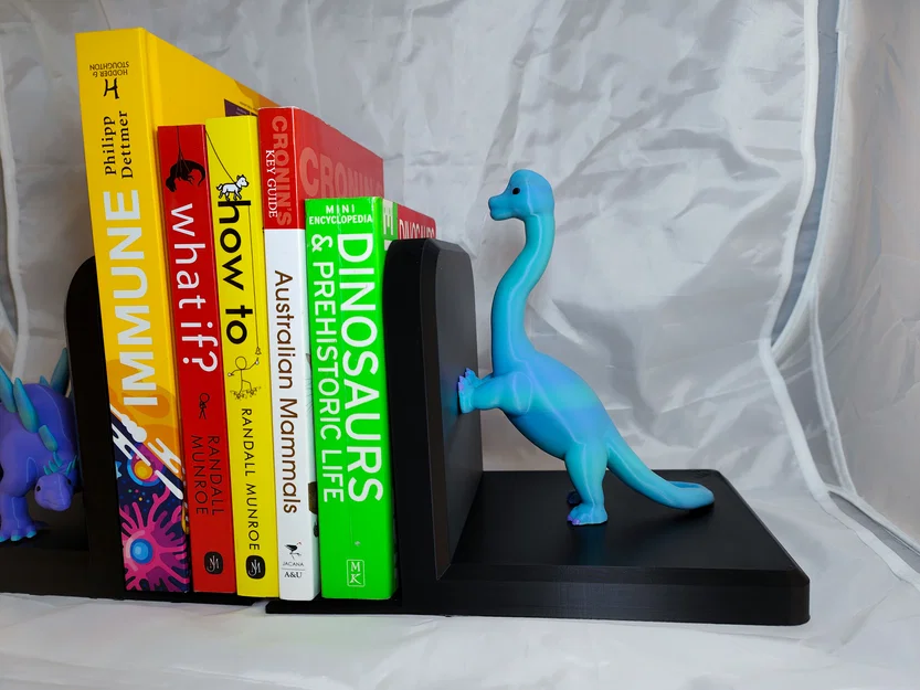 Chặn Sách Khủng Long (Dinosaur Book Ends) - Image 17