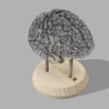 Đèn Não RGB (Lámpara de cerebro RGB / RGB Brain Lamp) - Thumbnail 1