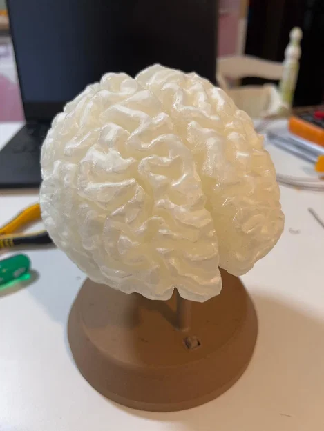 Đèn Não RGB (Lámpara de cerebro RGB / RGB Brain Lamp) - Image 5