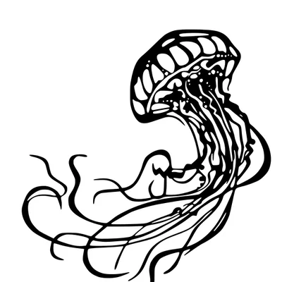 Tranh treo tường 3D hình con sứa - Jellyfish Wall Art