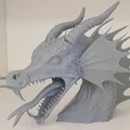 Đầu Rồng Biển (Aquatic Dragon head) - Thumbnail 1