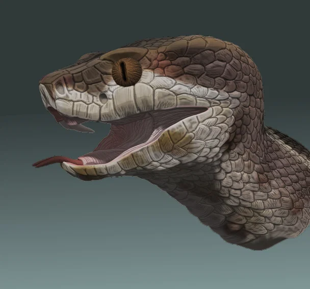 Tượng bán thân rắn Cottonmouth (Cottonmouth bust) tỉ lệ 1:1 - Image 1